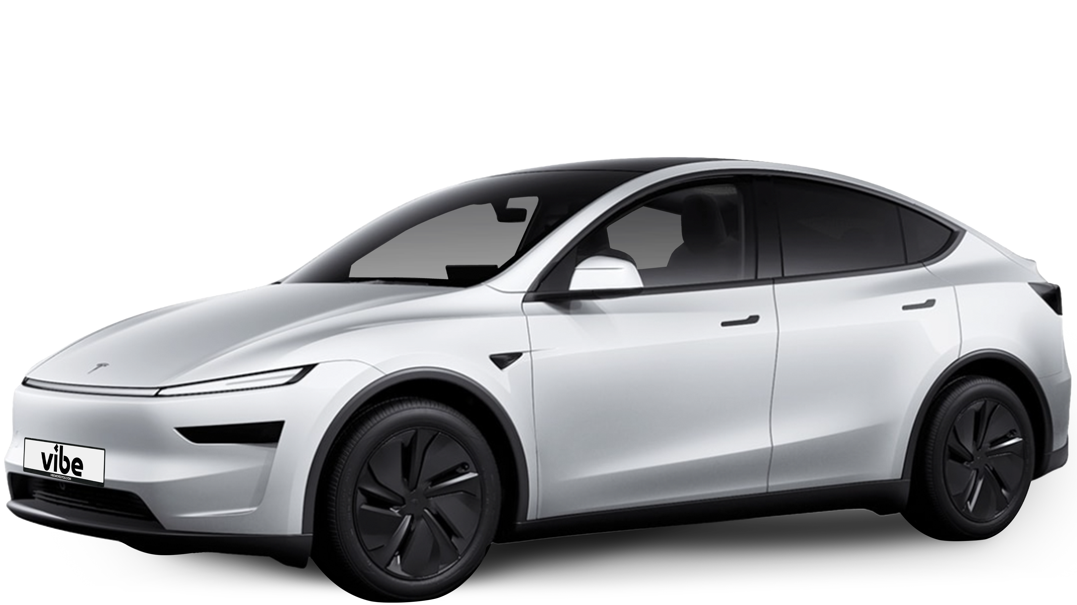 vibe - Tesla Model Y Long Range – Juniper