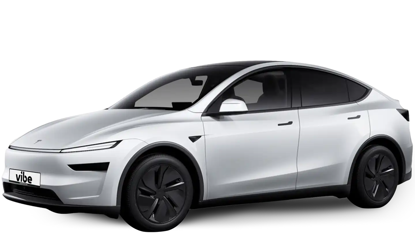 vibe - Tesla Model Y Long Range – Juniper