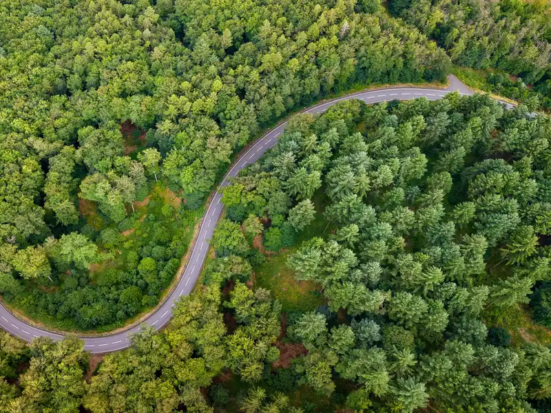 Luftaufnahme einer kurvigen Straße, die sich durch einen dichten grünen Wald schlängelt.
