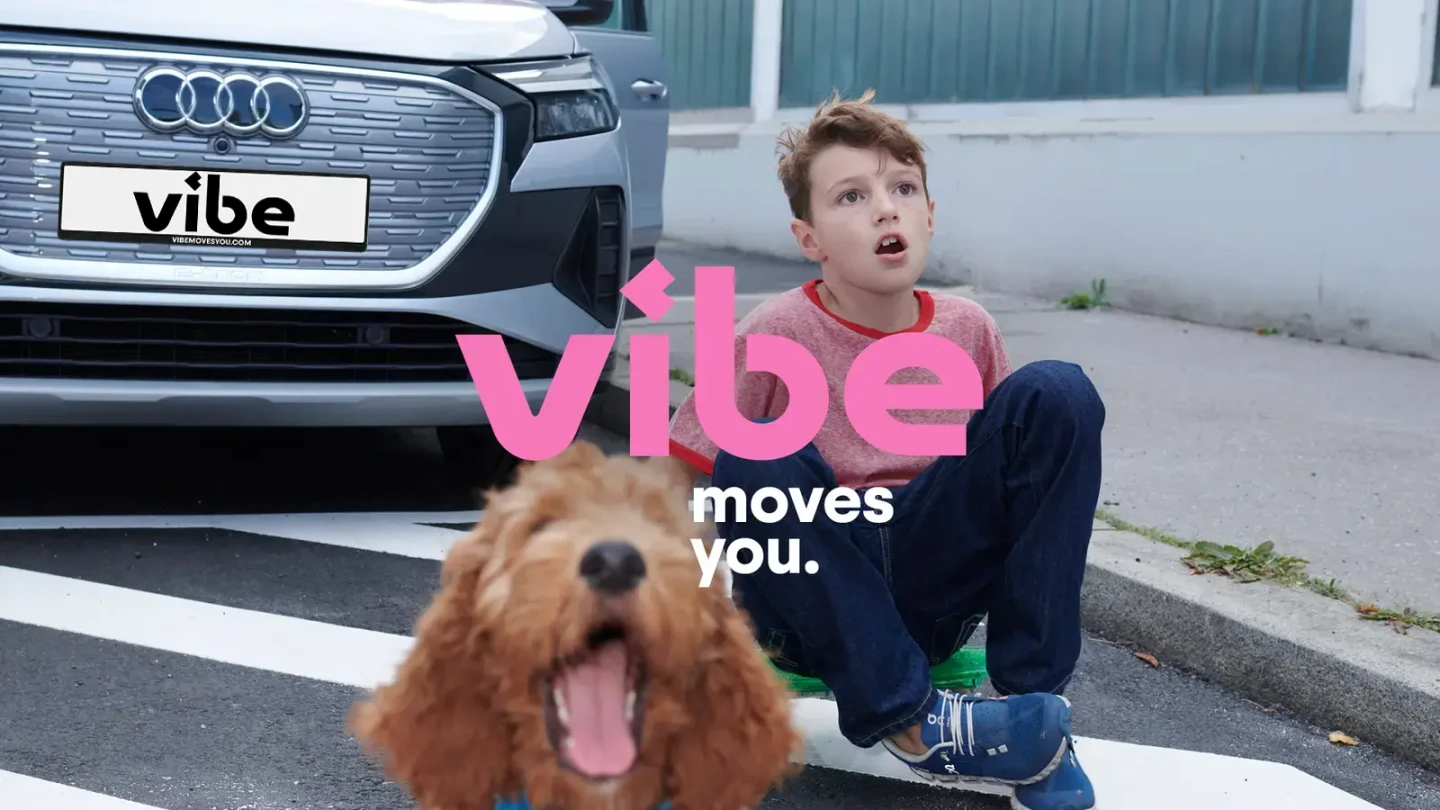 Ein Junge sitzt vor einem silbernen E-Auto auf dem Boden, während ein Hund im Vordergrund zu sehen ist und das Logo von vibe eingeblendet wird.