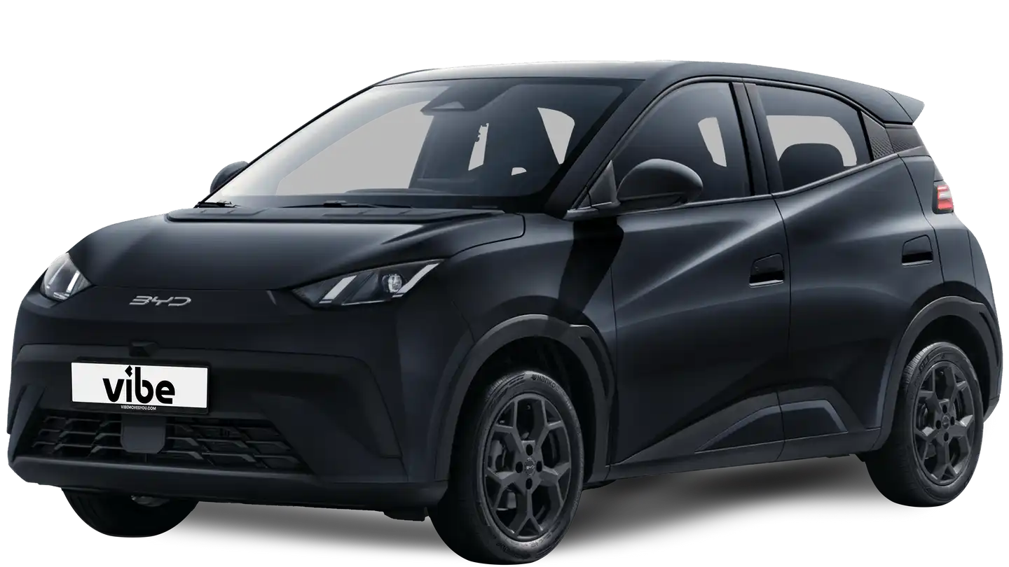 BYD Dolphin Surf Active